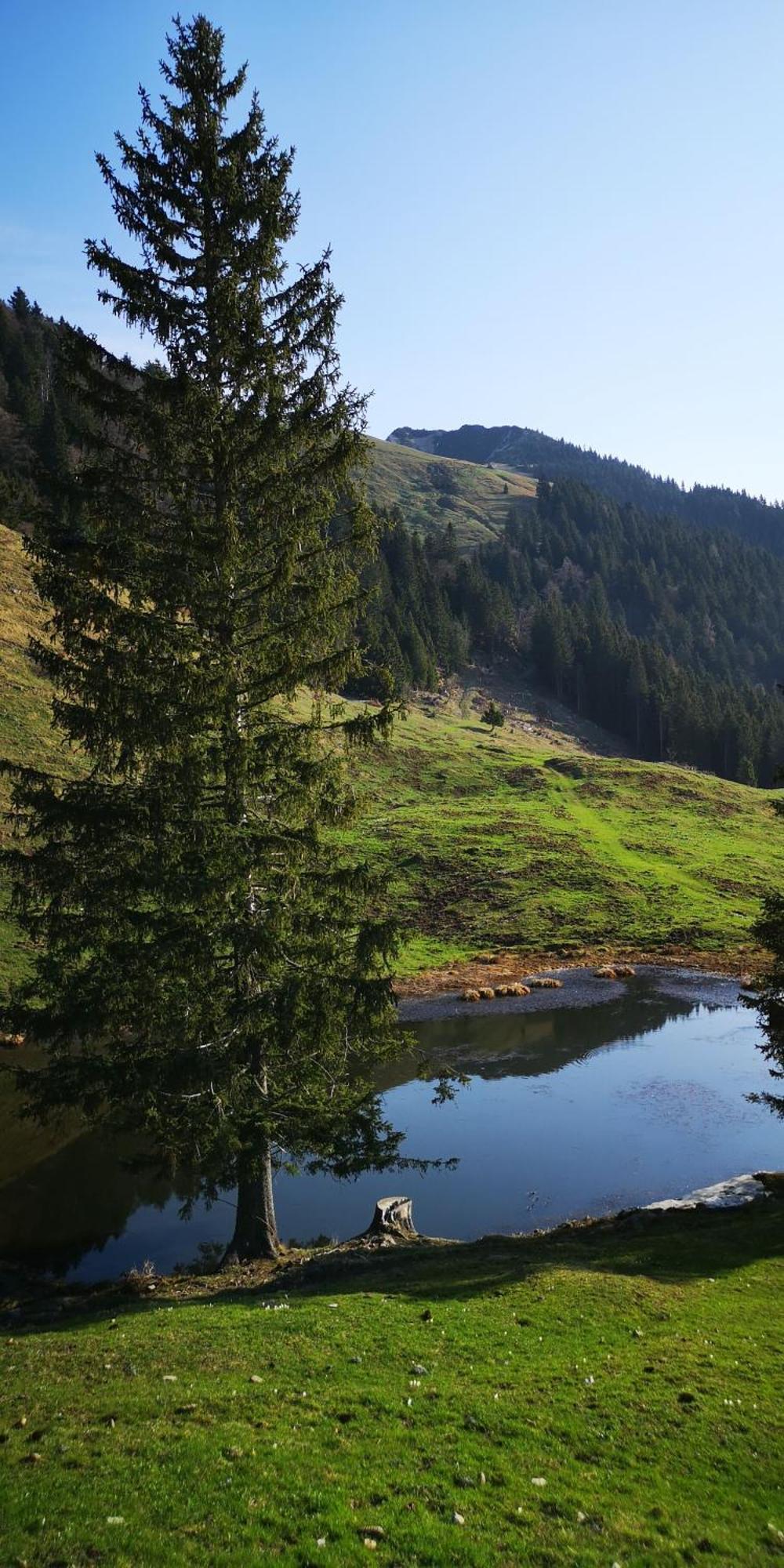 Kiara Rooms Jesenice Bagian luar foto